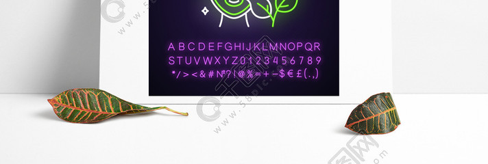 植物護膚新紀(jì)元 解碼有機保濕產(chǎn)品的科技與美學(xué)